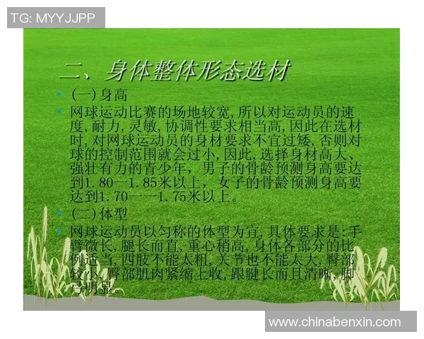 广州网球队与南京网球队耐力较量赛后分析与反思