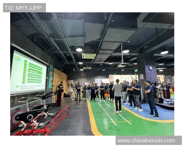 重庆羽毛球队的团队协作精神与竞技表现探讨